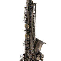 Pure Gewa Eb-Alt Saxophone Roy Benson AS-202A