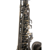 Pure Gewa Eb-Alt Saxophone Roy Benson AS-202A