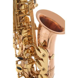 Pure Gewa Eb-Alt Saxophone Roy Benson AS-202G