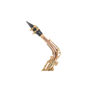 Pure Gewa Eb-Alt Saxophone Roy Benson AS-202G