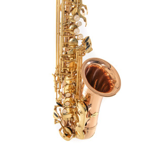 Pure Gewa Eb-Alt Saxophone Roy Benson AS-202G
