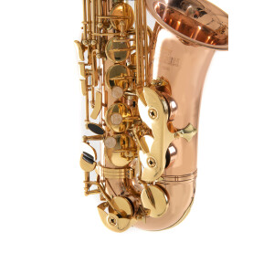 Pure Gewa Eb-Alt Saxophone Roy Benson AS-202G