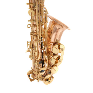 Pure Gewa Eb-Alt Saxophone Roy Benson AS-202G
