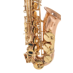 Pure Gewa Eb-Alt Saxophone Roy Benson AS-202G