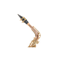 Pure Gewa Eb-Alt Saxophone Roy Benson AS-202G