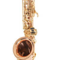 Pure Gewa Eb-Alt Saxophone Roy Benson AS-202G