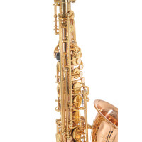 Pure Gewa Eb-Alt Saxophone Roy Benson AS-202G