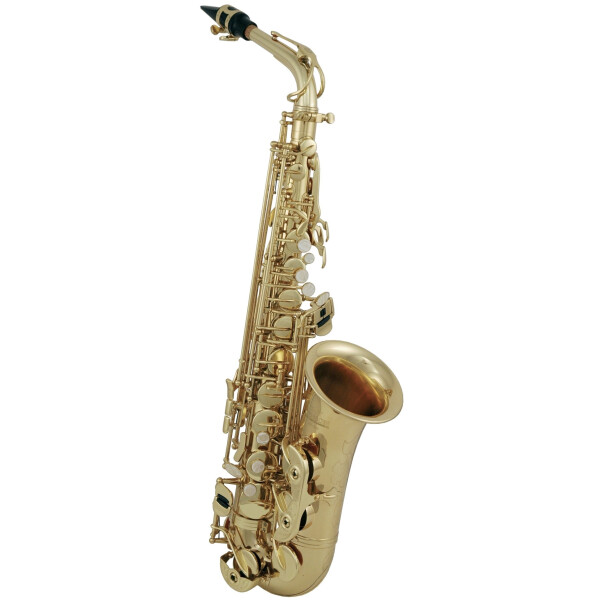 Pure Gewa Eb-Alt Saxophone Roy Benson AS-302