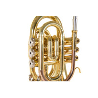 Roy Benson Bb Pocket Trumpet PT-101