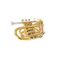 Roy Benson Bb Pocket Trumpet PT-101