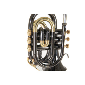 Roy Benson Bb Pocket Trumpet PT-101K