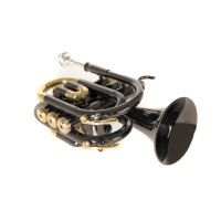 Roy Benson Bb Pocket Trumpet PT-101K