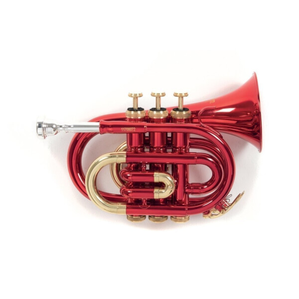 Roy Benson Bb-Taschentrompete PT-101R