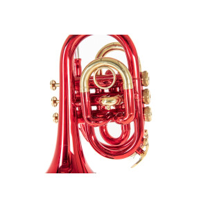 Roy Benson Bb-Taschentrompete PT-101R