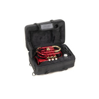 Roy Benson Bb-Taschentrompete PT-101R