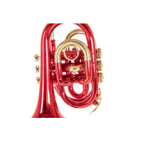 Roy Benson Bb-Taschentrompete PT-101R