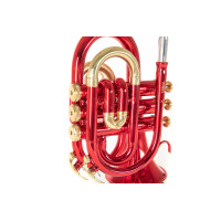 Roy Benson Bb-Taschentrompete PT-101R