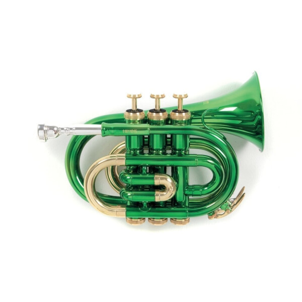 Roy Benson Bb-Taschentrompete PT-101E