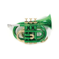 Roy Benson Bb-Taschentrompete PT-101E