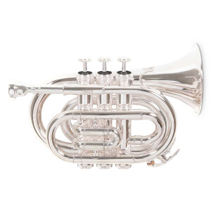 Roy Benson Bb-Taschentrompete PT-101S