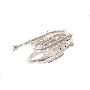 Roy Benson Bb-Taschentrompete PT-101S