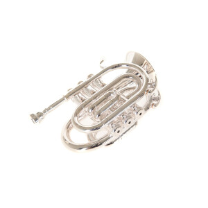 Roy Benson Bb-Taschentrompete PT-101S