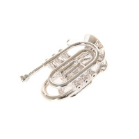 Roy Benson Bb-Taschentrompete PT-101S