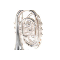 Roy Benson Bb-Taschentrompete PT-101S