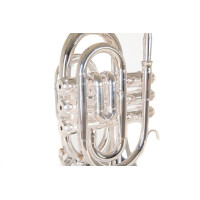 Roy Benson Bb-Taschentrompete PT-101S