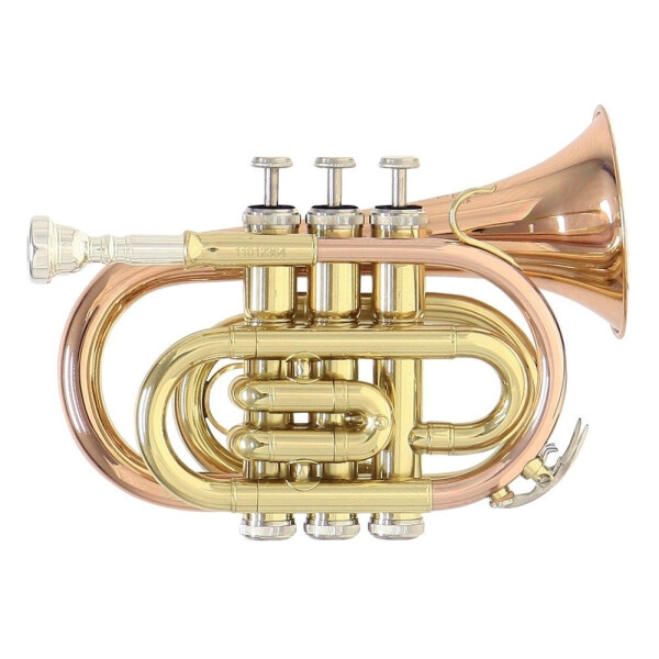 Roy Benson Bb-Taschentrompete PT-101G