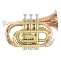 Roy Benson Bb-Taschentrompete PT-101G