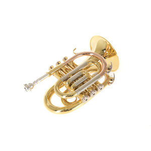 Roy Benson Bb pocket trumpet PT-302