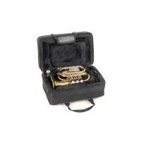 Roy Benson Bb pocket trumpet PT-302
