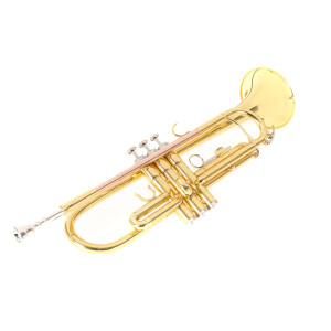 Roy Benson Bb-Trompete TR-101