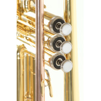 Roy Benson Bb-Trompete TR-101