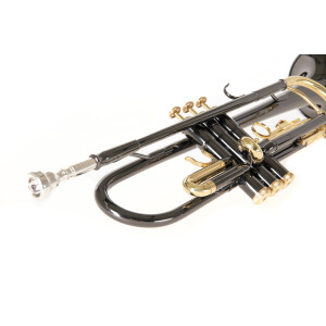 Roy Benson Bb-Trompete TR-101K