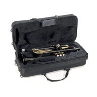 Roy Benson Bb-Trompete TR-101K