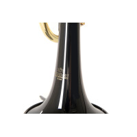 Roy Benson Bb-Trompete TR-101K