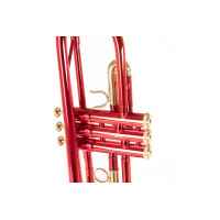 Roy Benson Bb-Trompete TR-101R
