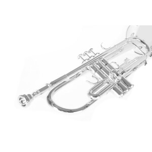 Roy Benson Bb-Trompete TR-202S