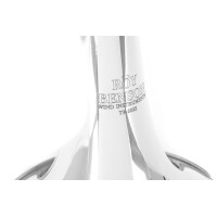 Roy Benson Bb-Trompete TR-202S