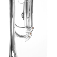 Roy Benson Bb-Trompete TR-202S