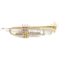 Roy Benson Bb trumpet TR-403