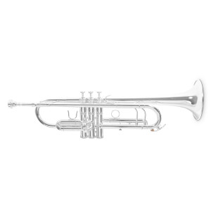 Roy Benson Bb Trumpet TR-403S