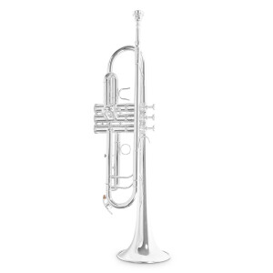 Roy Benson Bb Trumpet TR-403S
