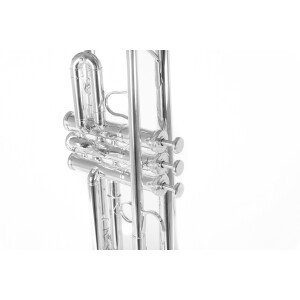 Roy Benson Bb Trumpet TR-403S