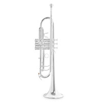Roy Benson Bb Trumpet TR-403S