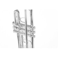 Roy Benson Bb Trumpet TR-403S