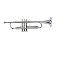 Roy Benson Bb-Trompete Charli Green Signature