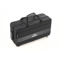 Roy Benson C-Trompete TR-402C